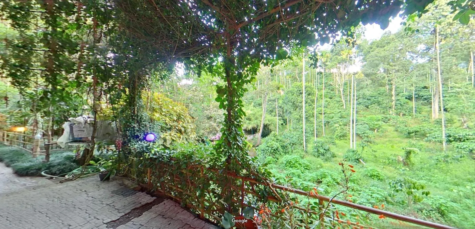 Bed and Breakfast Wayanad Royal Stream Kalpetta 2*,  India