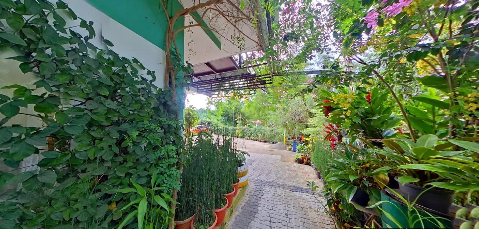 Bed and Breakfast Wayanad Royal Stream Kalpetta Bed & Breakfast