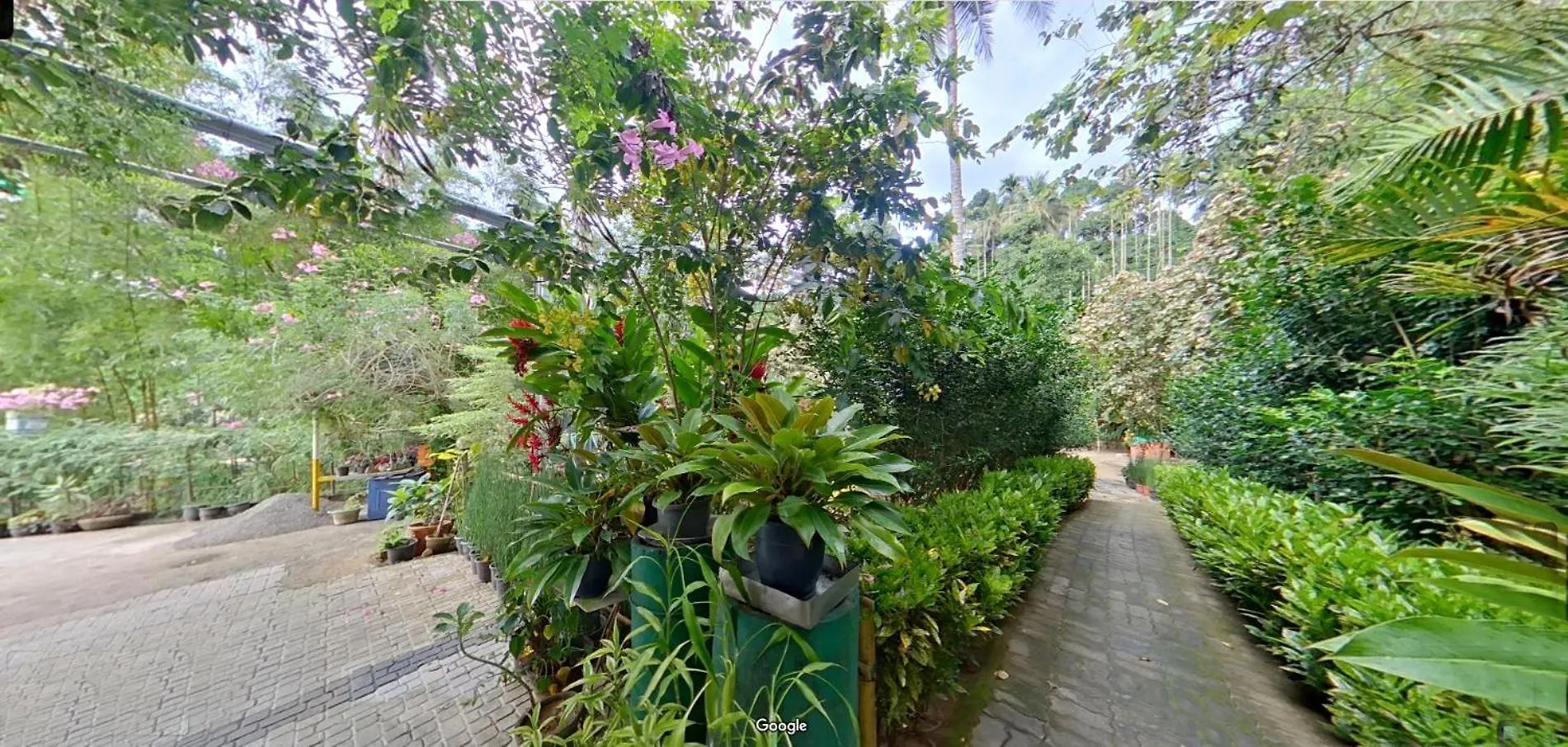 Bed & Breakfast Bed and Breakfast Wayanad Royal Stream Kalpetta